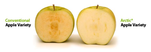 Arctic® apples vs regular apples.