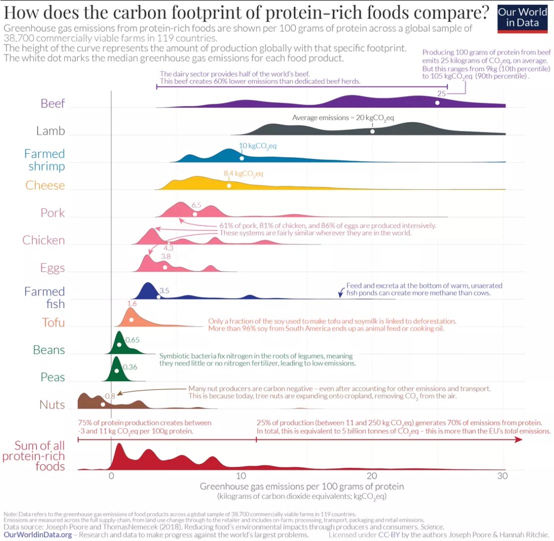 Carbon footprint of protein foods.