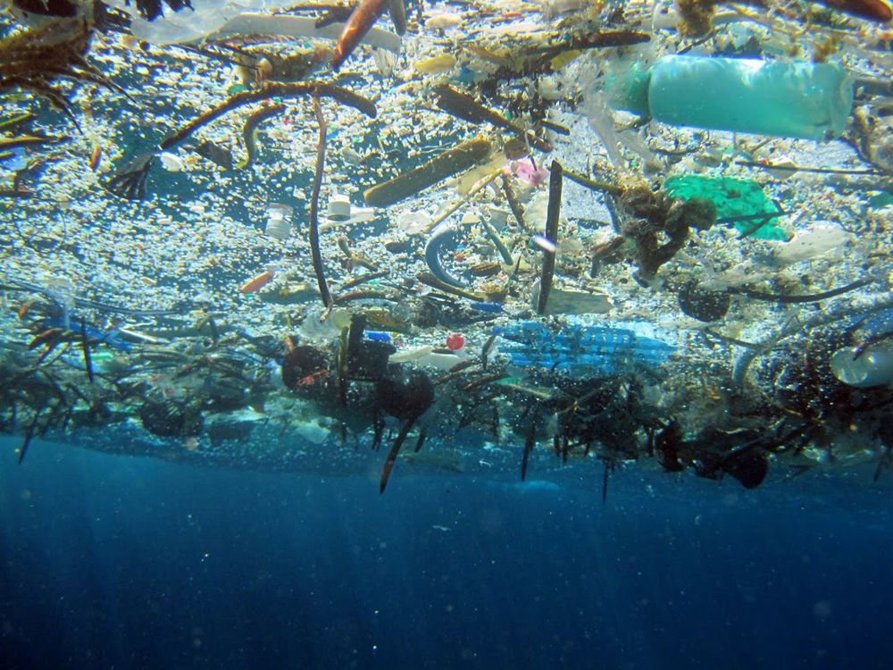 Marine debris at the Great Pacific Garbage Patch