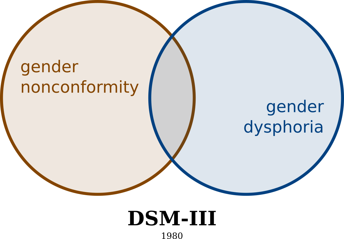 "Gender Identity Disorder" in the DSM-3 work group.