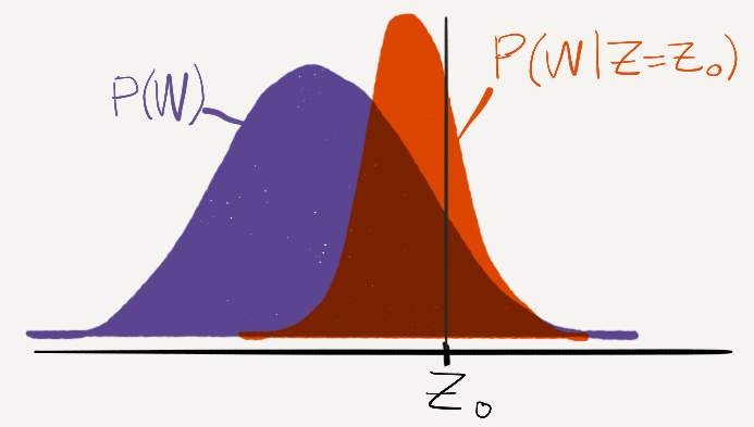 A plot of the probability distribution P(W) as well as P(W|Z=Z_0). The center of P(W|Z=Z_0) is somewhere between Z_0 and the the center of P(W).