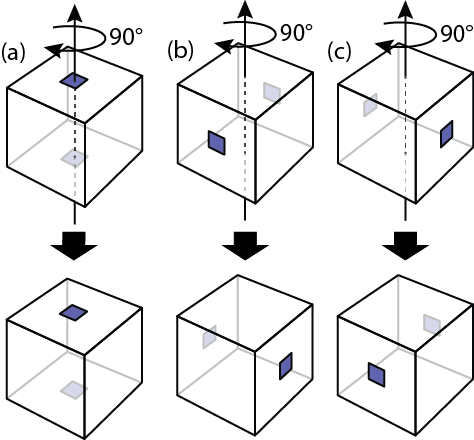 This shows the same 90 degree rotation applied to all three Dotted Cubes. Only Dotted Cube (a) remains the same.