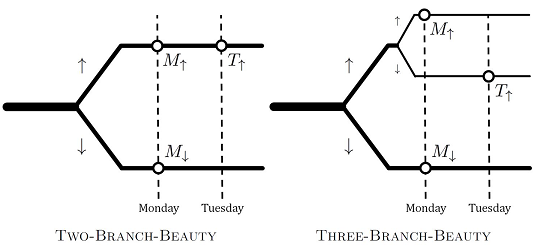 The Two-Branch-Beauty diagram shows the universe splitting into two branches, one where Sleeping beauty wakes up on Monday, and the other where she wakes up on Monday and Tuesday. The Three-Branch-Beauty diagram shows two branches, but one of the branches splits further into a Monday branch and a Tuesday branch.