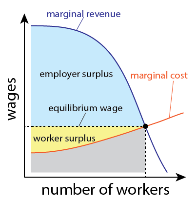 A graph whose axes are "number of workers" and "wages". The graph has two curves, labeled "marginal cost" and "marginal revenue". The intersection of the two curves determines the equilibrium wage and workforce size. Two regions of the graph are labeled the employer surplus and worker surplus.