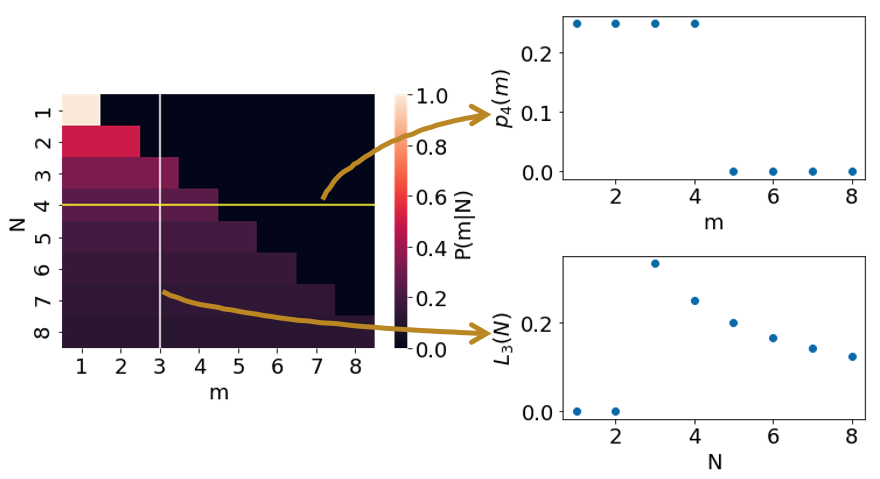 Shows the heatmap of the conditional probability function, with a horizontal line indicating the function p(m), and a vertical line indicating the likelihood function L(N)