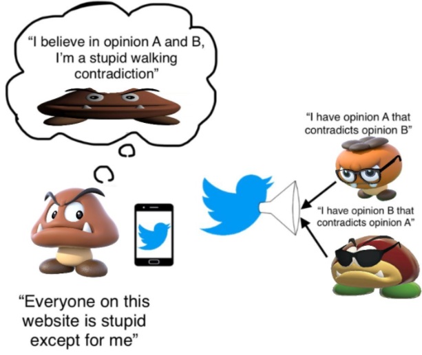 goomba fallacy original image