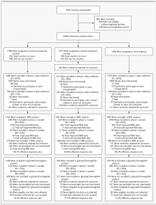 A breakdown of the study's participant randomization