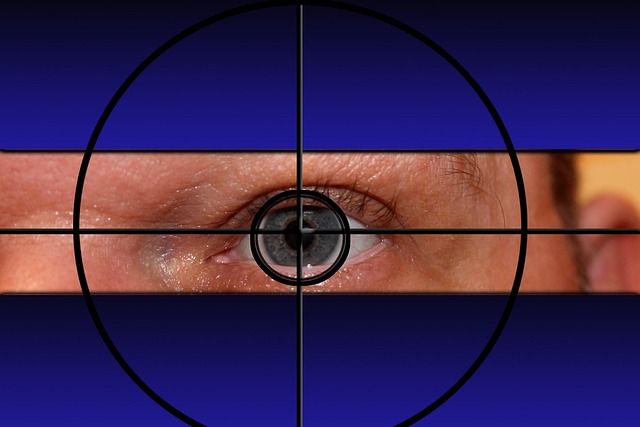An eye in the center of a crosshairs