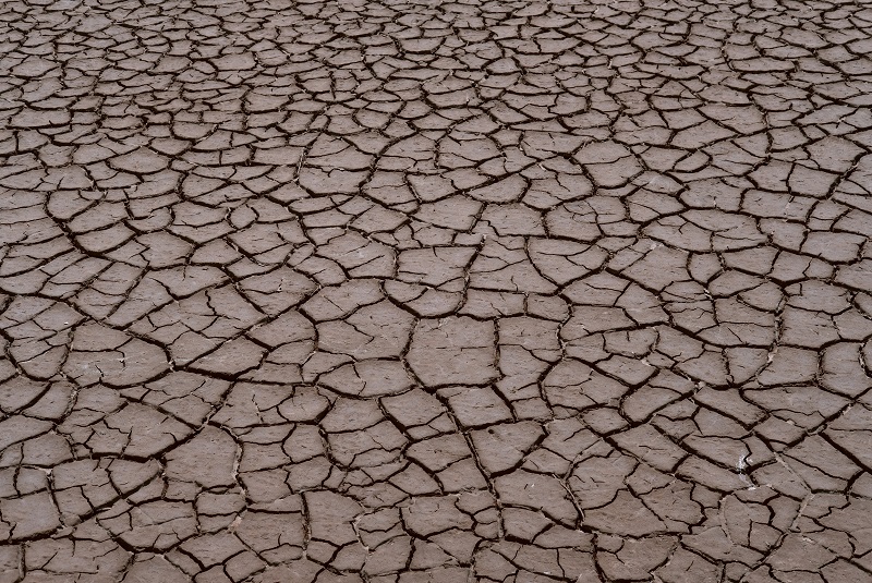 Dry, barren, cracked land