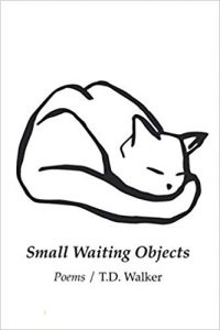 Cover of Small Waiting Objects by T.D. Walker