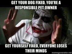 Responsible pet owner