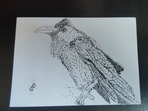 The image is a stippled (made of lots of little dots) of a raven perched on a branch. The head is slightly too small, and the feathers on top are in a bit too much of a tuft or crest. I'm happy with how shaggy the bird looks, though. It's so raven, in that regard. 