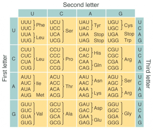 geneticcode