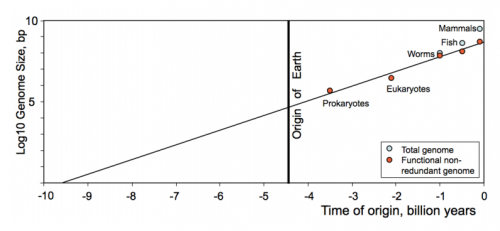 dumbassgraph