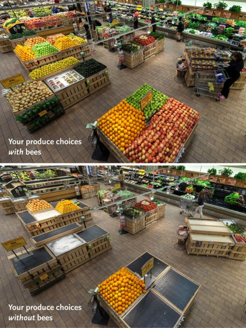 WHOLE FOODS MARKET PRODUCE DEPARTMENT