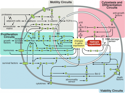 signalingnetwork