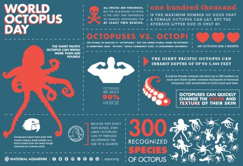 octopus_infographic