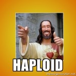 haploidchrist