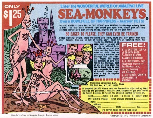 seamonkey