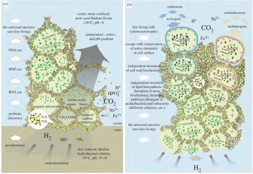 abiogenesis