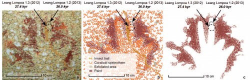 sulawesi4