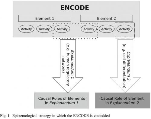 explanandum