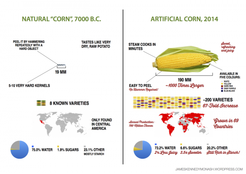 artificial-natural-corn