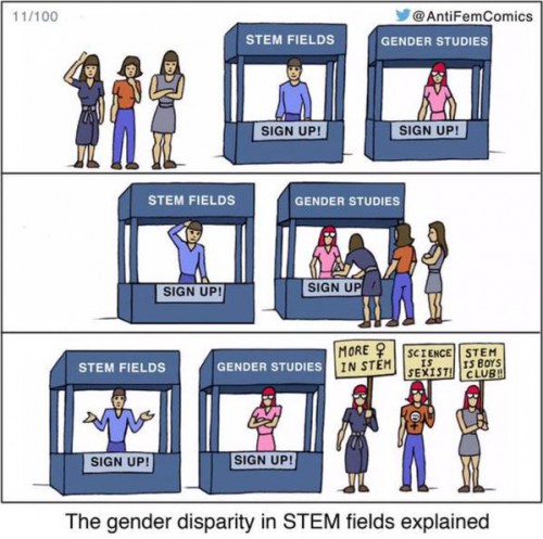 stemwomen