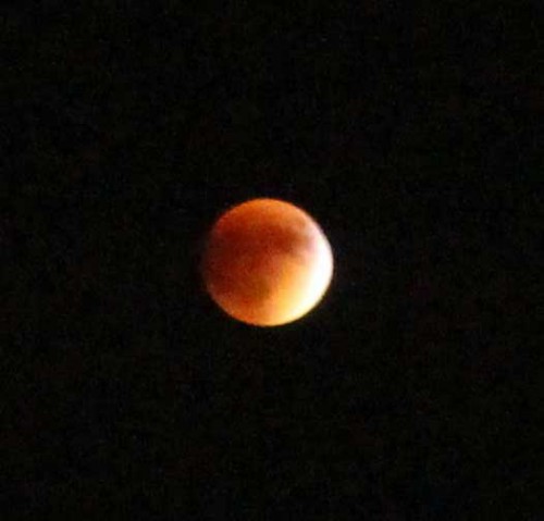 bloodmoon