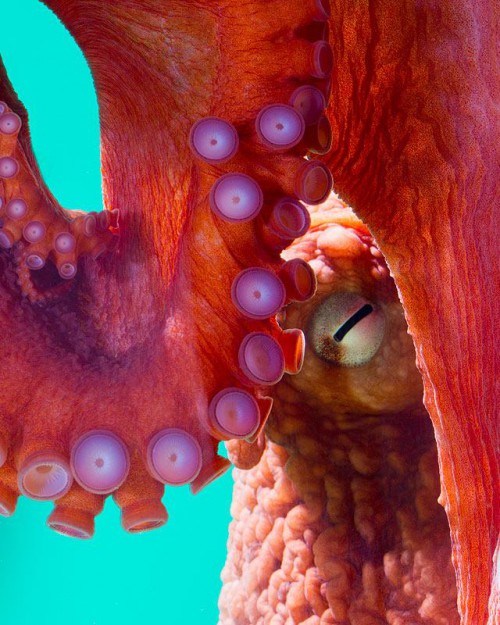 National Aquarium