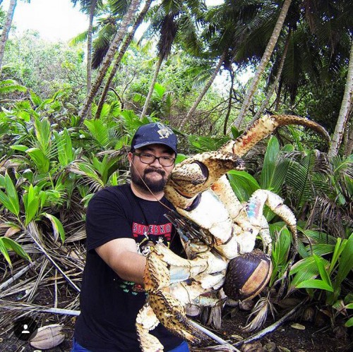 coconutcrab