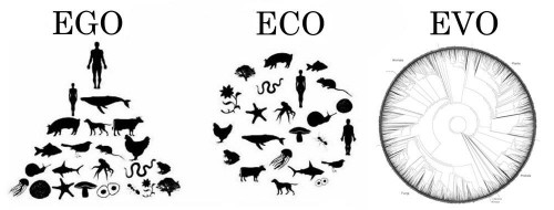 I still see a lot of Ego in the Eco diagram, since humans are the only species (out of 1.8 million species that have been described on Earth) that are represented twice, and over half of the species shown in that diagram are vertebrates like us (even though only about 5% of all described species are vertebrates). I made this version to emphasize that there is a lot of biodiversity on Earth, and all species are connected through our evolutionary history to single common ancestor. The tree shown under "EVO" represents species approximately in proportion to their described diversity, and the circular shape emphasizes that we are all equally distant from our common ancestor.