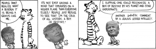 donaldandhobbes