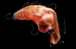 trumphair