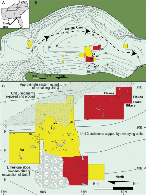 (A) Location of Page-Ladson in northwestern Florida. (B) Map of the Page-Ladson underwater excavations, showing the entire sinkhole and previous excavation areas, as well as excavation areas and sediment cores reported in this paper. Core 4A is marked with a blue star. Other cores are marked with blue circles. Previous excavations are marked with yellow. Our excavations are marked with red. Contours are in meters below datum. (C) Detailed map displaying the location of bones (gray), drawn to scale, and artifacts (black) recovered from geological Units 3a to 3c and 4a to 4b