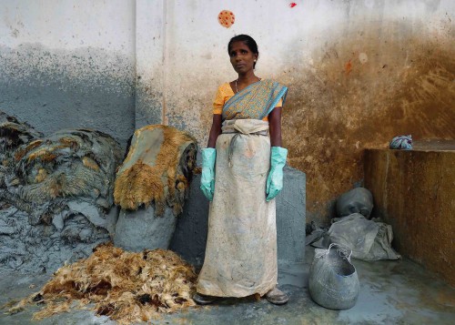 Women pluck hair by hand from goat hides soaked in an alkaline solution to loosen the fibers. This woman protects herself with gloves and a sheet of plastic wrapped around her sari as she works at a tannery outside Vaniyambad in the Vellore district of Tamil Nadu, India.