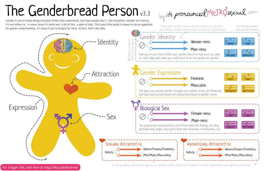 The Genderbread Person, version 3.3. From http://itspronouncedmetrosexual.com/2015/03/the-genderbread-person-v3/