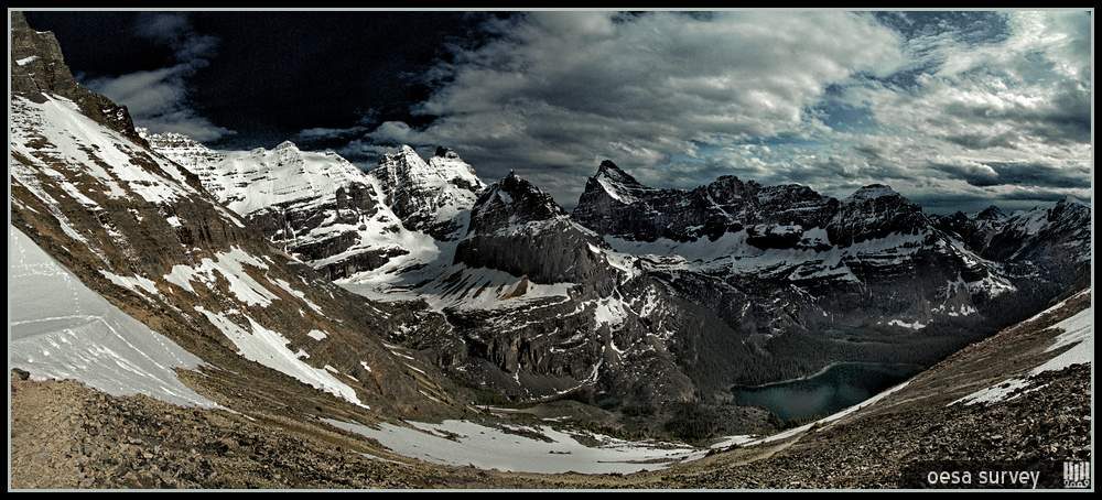 Oesa Survey (HJH 2009)