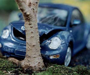 Car crash bonsai tree