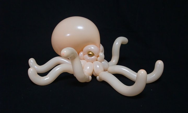 Octopus