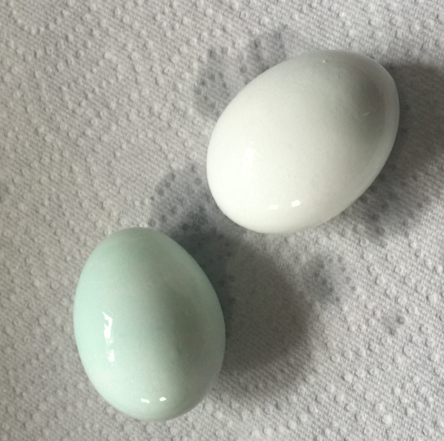 rinsed egg in shell and slightly great easy-peel egg