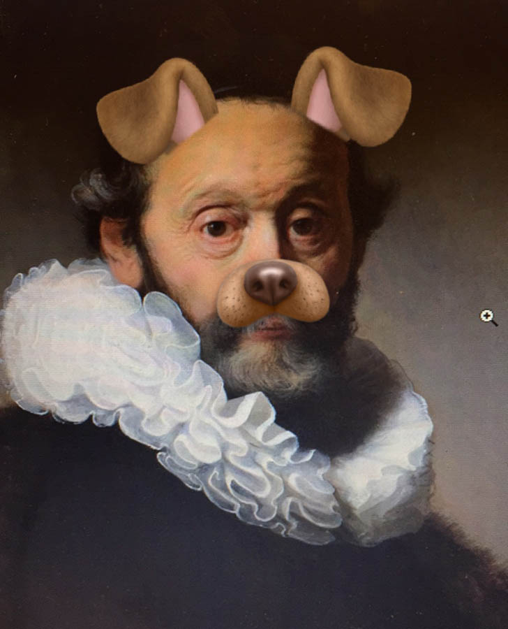 Snapmixed Rembrandt