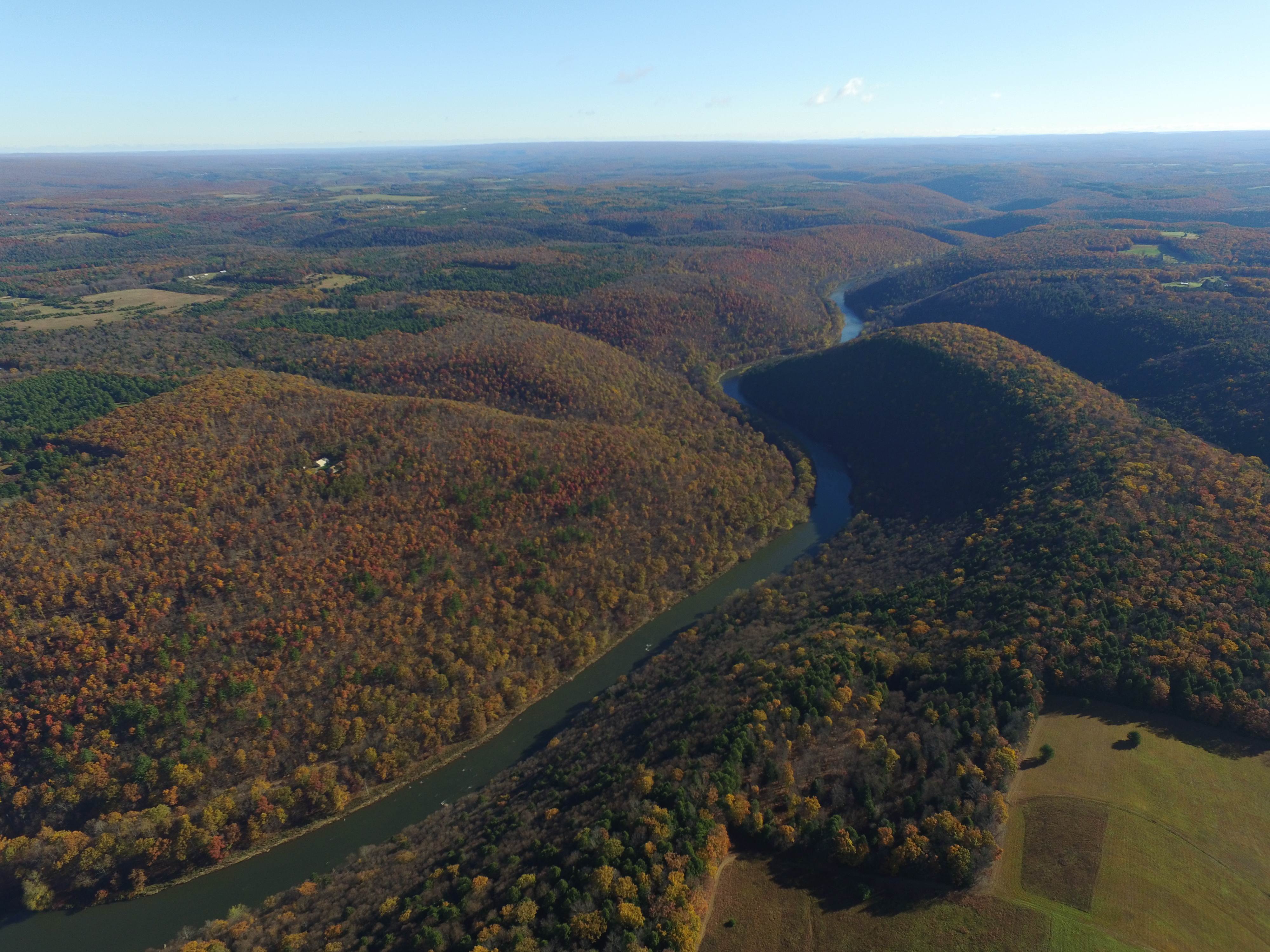 Fall Colors, Morrisdale 2016