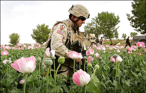 patrol in Lashkar Gah