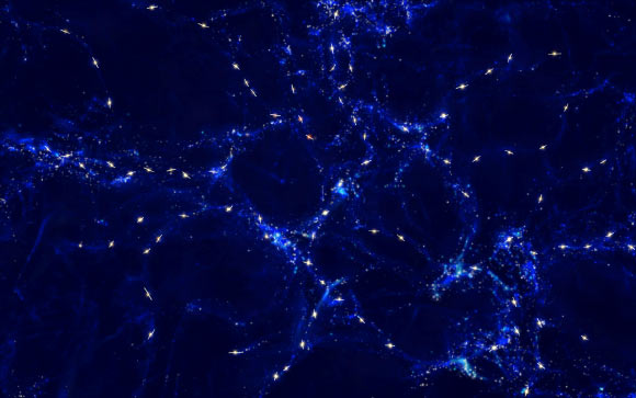 Artist's impression showing schematically the mysterious alignments between the spin axes of quasars (white) and the large-scale structures (blue) that they inhabit. The rotation axes of the quasars’ black holes are indicated with a line / ESO/M. Kornmess